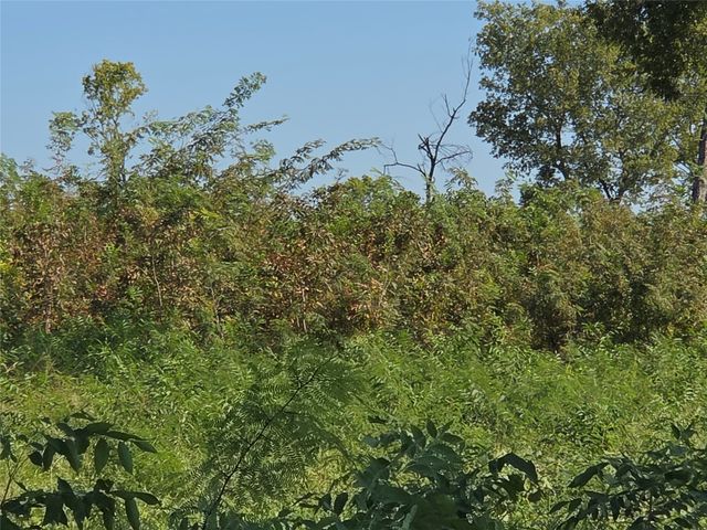 Lot 7 with BS #15 Vista Pointe Drive, Kerens, TX 75109