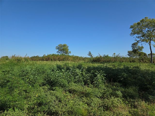 Lot 7 with BS #15 Vista Pointe Drive, Kerens, TX 75109