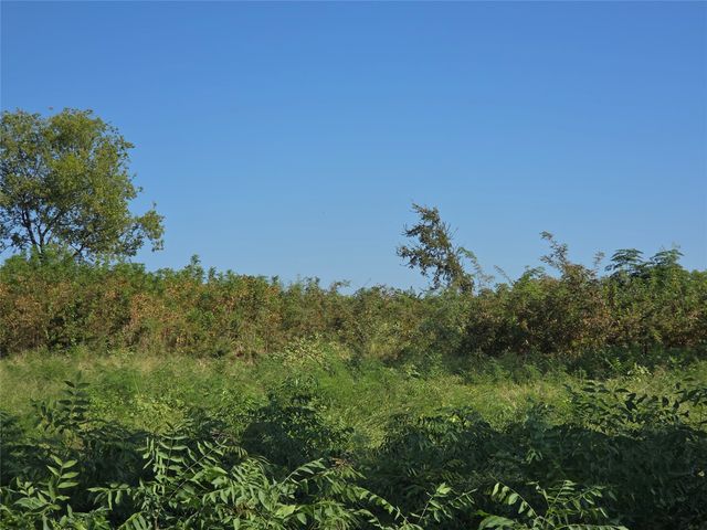 Lot 7 with BS #15 Vista Pointe Drive, Kerens, TX 75109