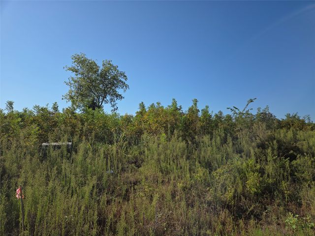 Lot 7 with BS #15 Vista Pointe Drive, Kerens, TX 75109