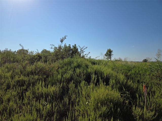 Lot 7 with BS #15 Vista Pointe Drive, Kerens, TX 75109