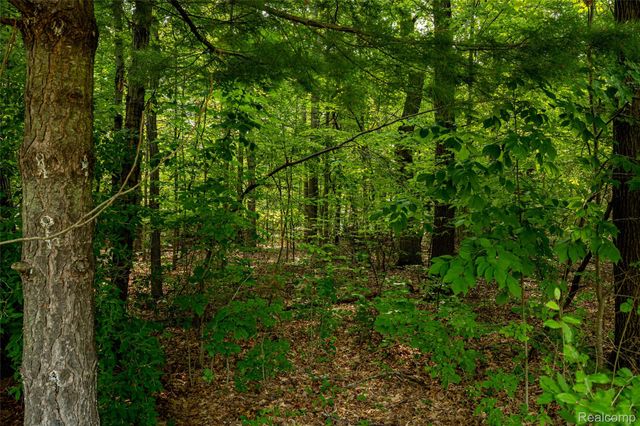 Lot 5 Lombardy Court, Hamburg Township, MI 48169