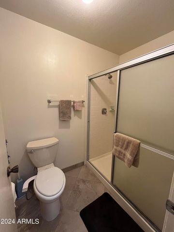 26005 S HOWARD Drive, Sun Lakes, AZ 85248