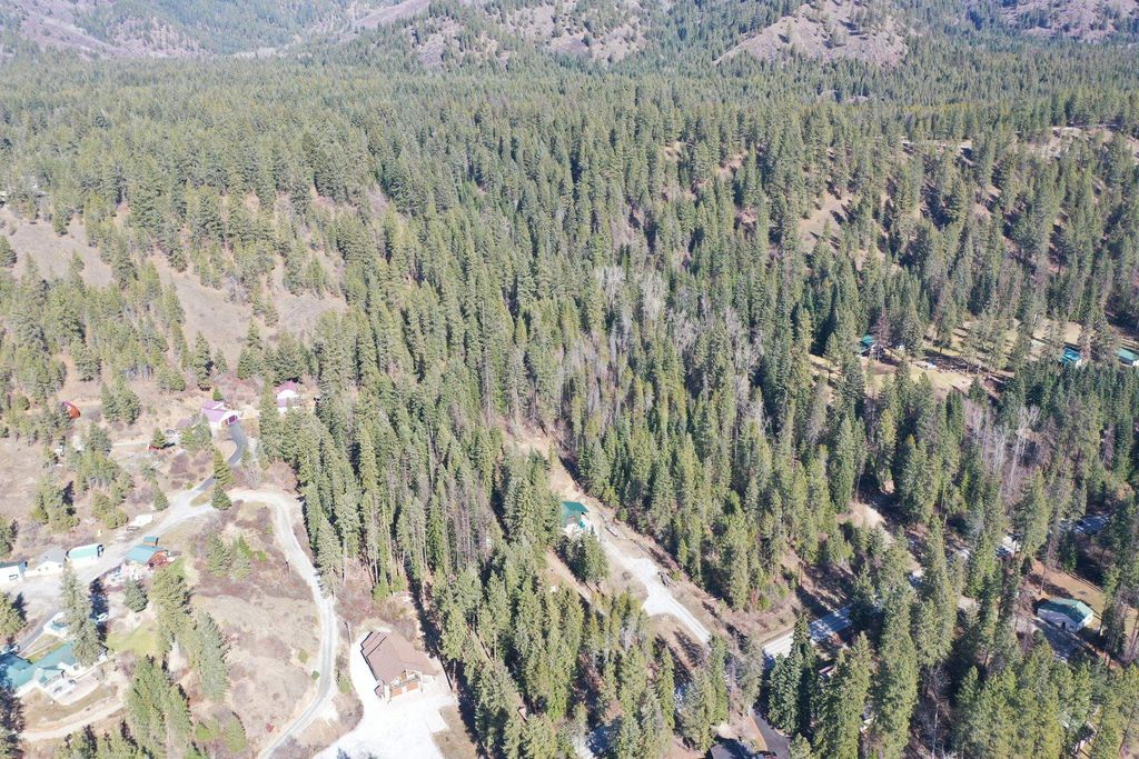 NKN Leclerc Rd, Newport, WA 99156 photo 4