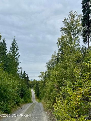 L14 PW Shady Acres, Soldotna, AK 99669
