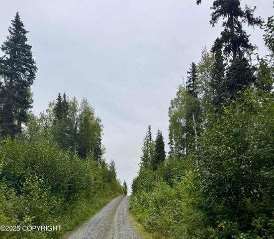 L14 PW Shady Acres, Soldotna, AK 99669