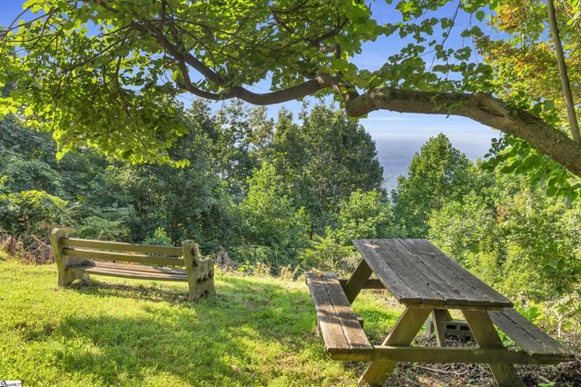 3605 Skyuka Mountain Road, Columbus, NC 28722