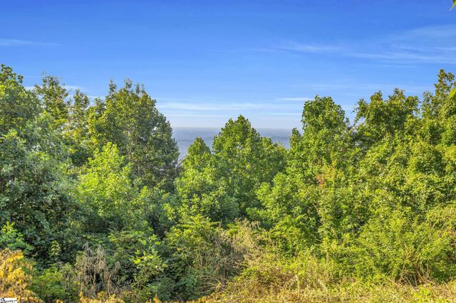 3605 Skyuka Mountain Road, Columbus, NC 28722