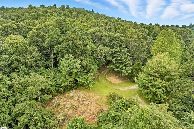 3605 Skyuka Mountain Road, Columbus, NC 28722