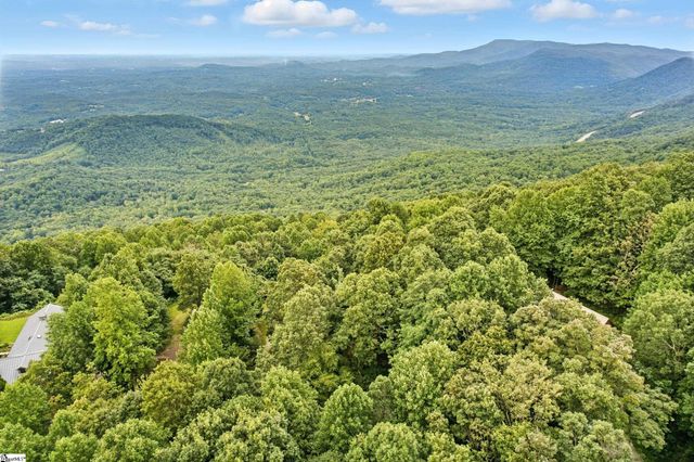 3605 Skyuka Mountain Road, Columbus, NC 28722