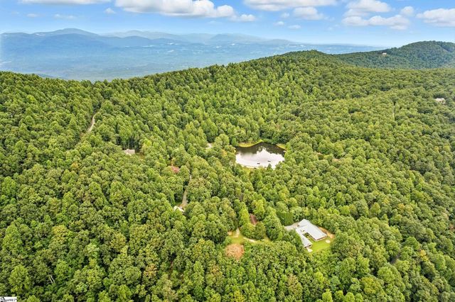 3605 Skyuka Mountain Road, Columbus, NC 28722