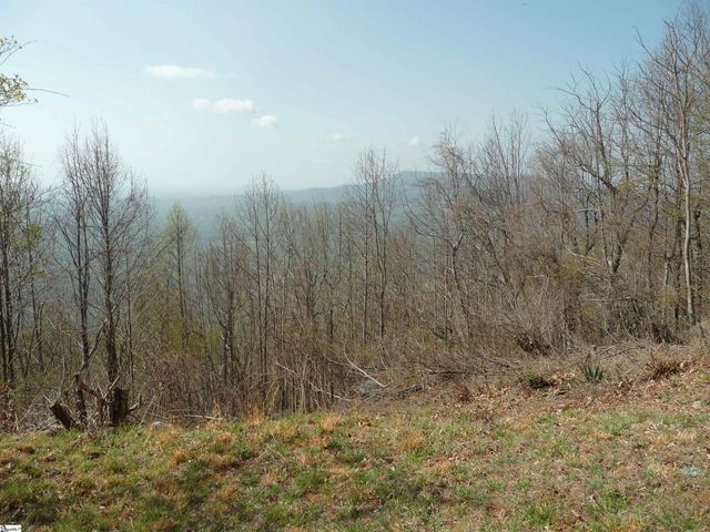 3605 Skyuka Mountain Road, Columbus, NC 28722