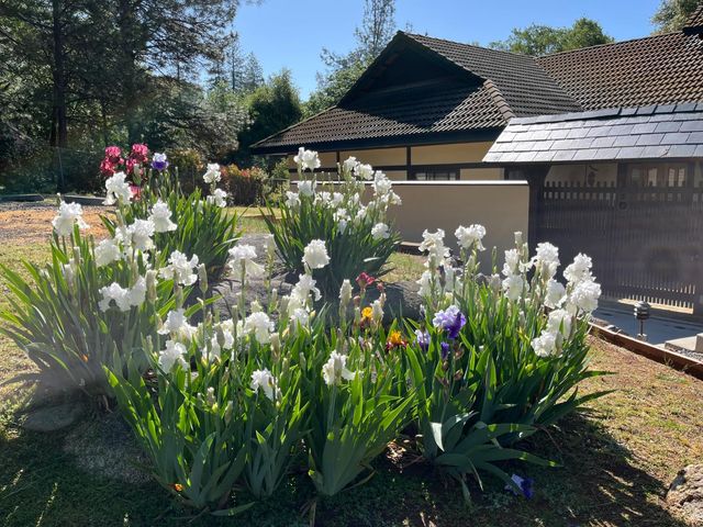 1555 Naturewood Dr, Meadow Vista, CA 95722