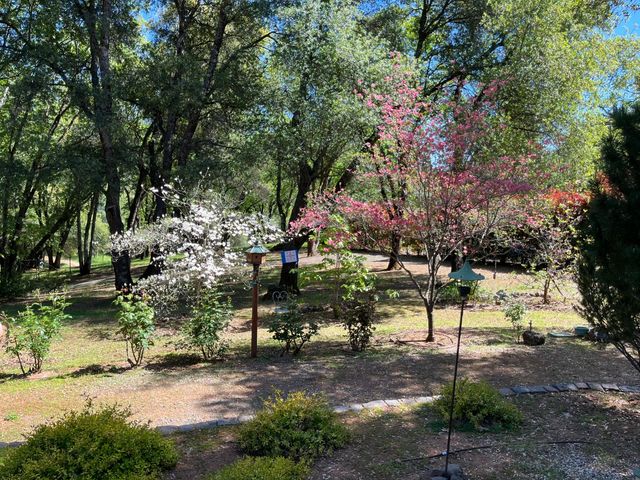 1555 Naturewood Dr, Meadow Vista, CA 95722