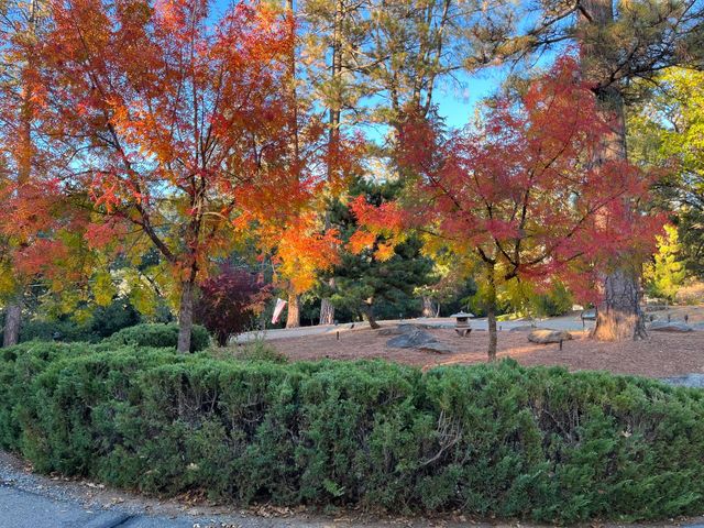 1555 Naturewood Dr, Meadow Vista, CA 95722