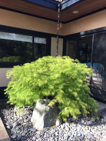 1555 Naturewood Dr, Meadow Vista, CA 95722