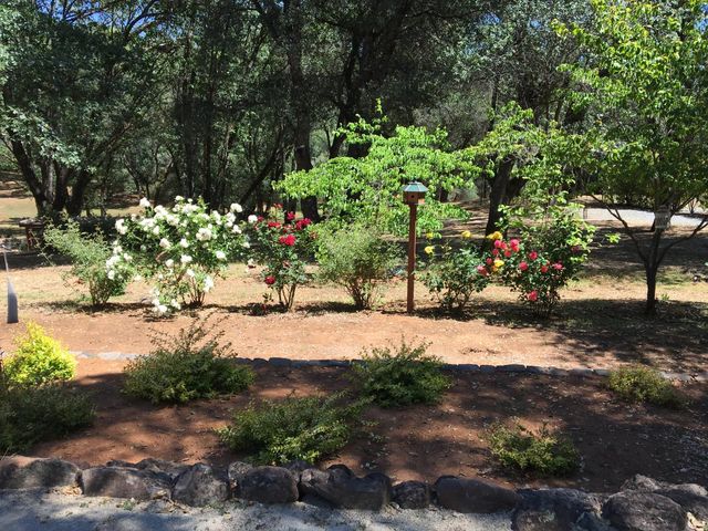 1555 Naturewood Dr, Meadow Vista, CA 95722