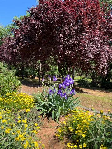 1555 Naturewood Dr, Meadow Vista, CA 95722