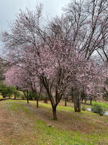 1555 Naturewood Dr, Meadow Vista, CA 95722