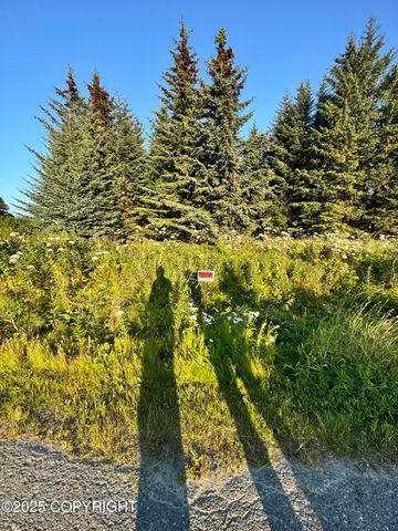 945 Soundview Avenue, Homer, AK 99603