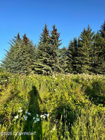 945 Soundview Avenue, Homer, AK 99603