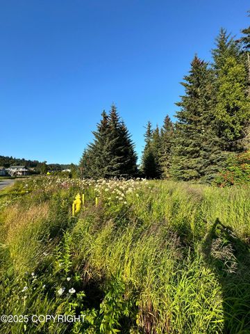945 Soundview Avenue, Homer, AK 99603