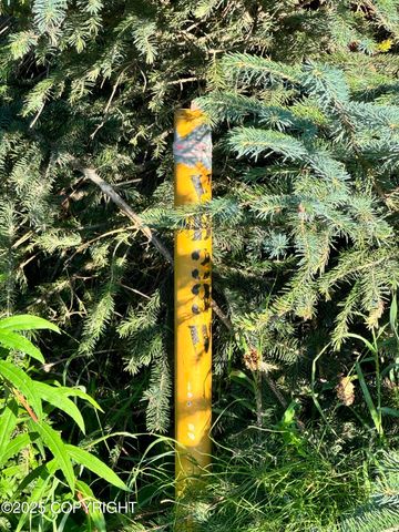 945 Soundview Avenue, Homer, AK 99603