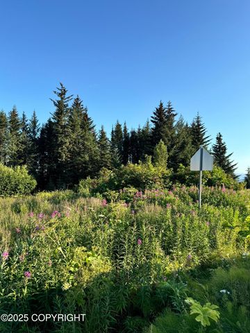 945 Soundview Avenue, Homer, AK 99603