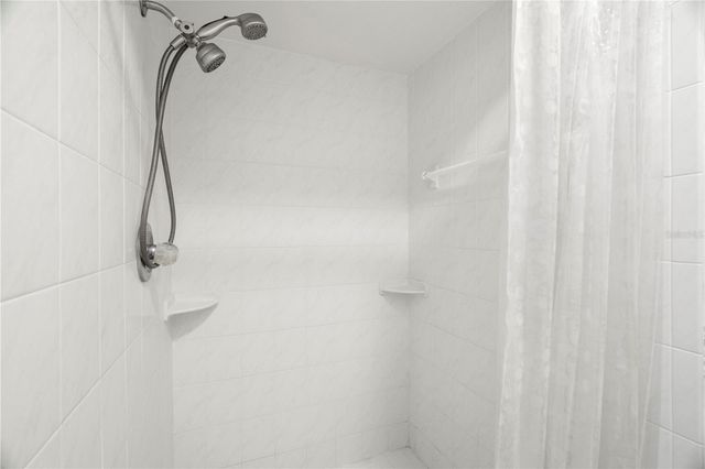 10408 RECLINATA LANE, Tampa, FL 33618