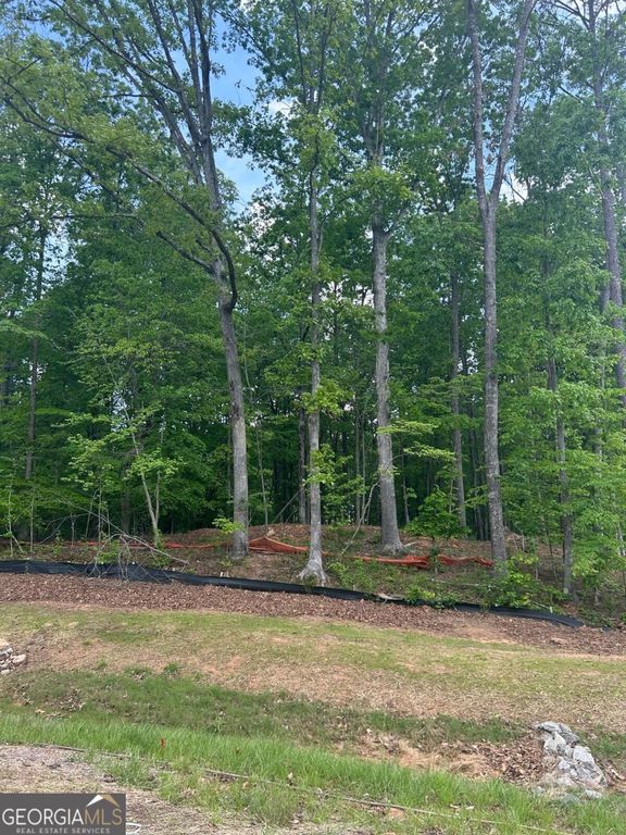 240 Thompson Trail, Milton, GA 30004 — photo 4