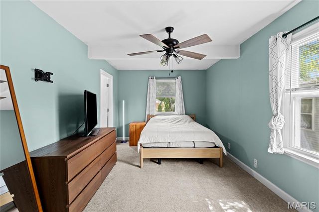 209 Madison Avenue, St Louis, MO 63119