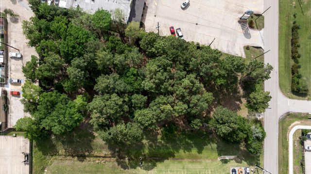 1017 Alma Street, Tomball, TX 77375