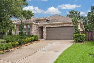 126 Wild Wisteria Lane, Montgomery, TX 77316
