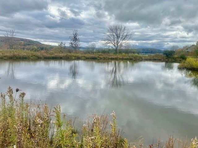 7898 State Highway 12, Sherburne, NY 13460