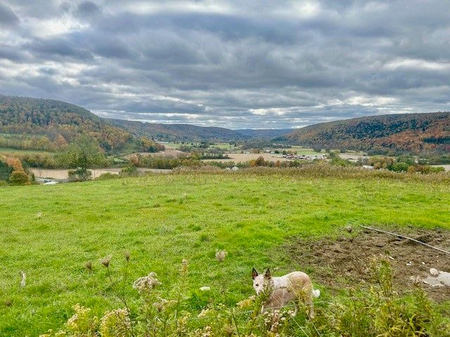 7898 State Highway 12, Sherburne, NY 13460