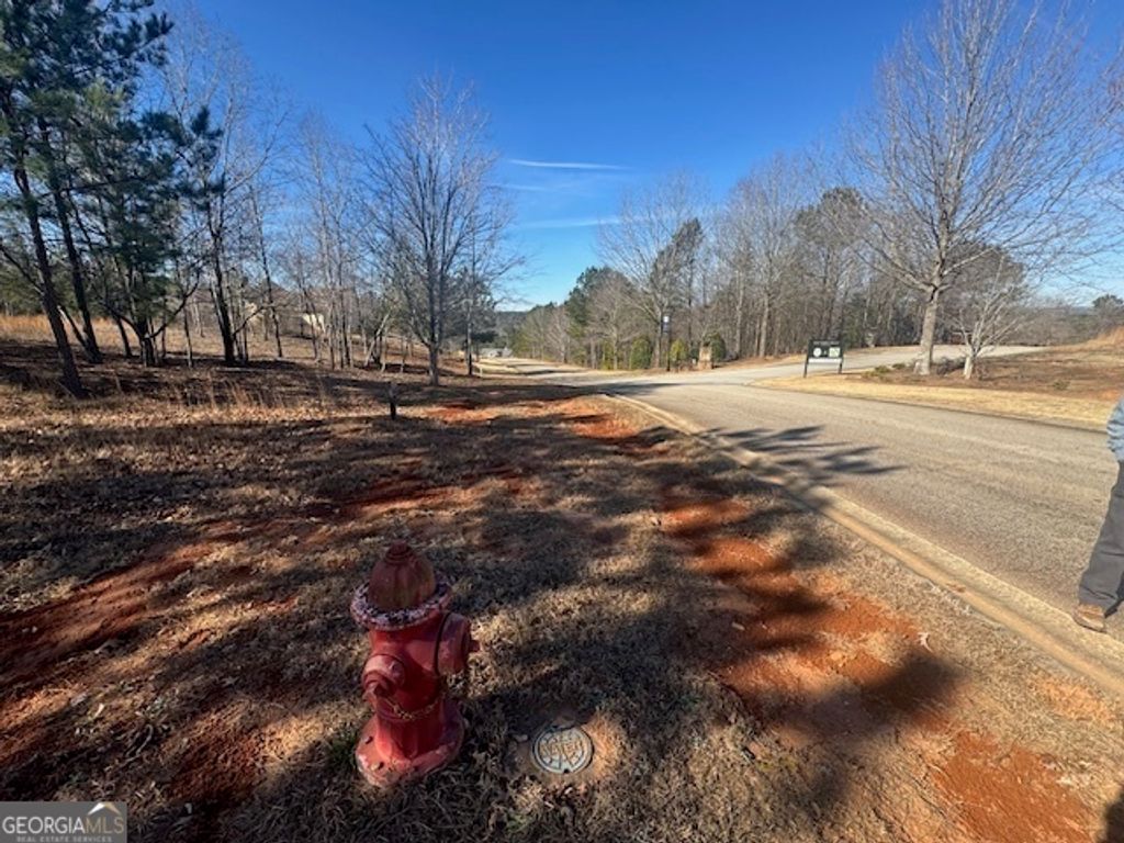1541 Currahee Club Drive, Toccoa, GA 30577 — exterior