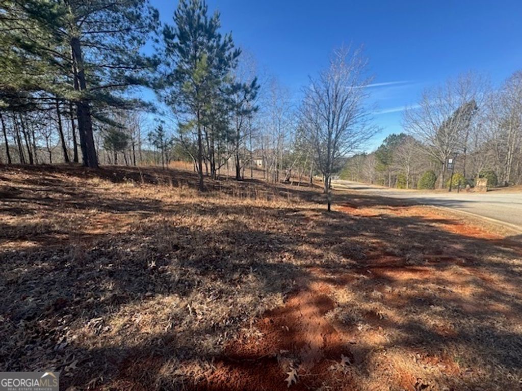 1541 Currahee Club Drive, Toccoa, GA 30577 — photo 2