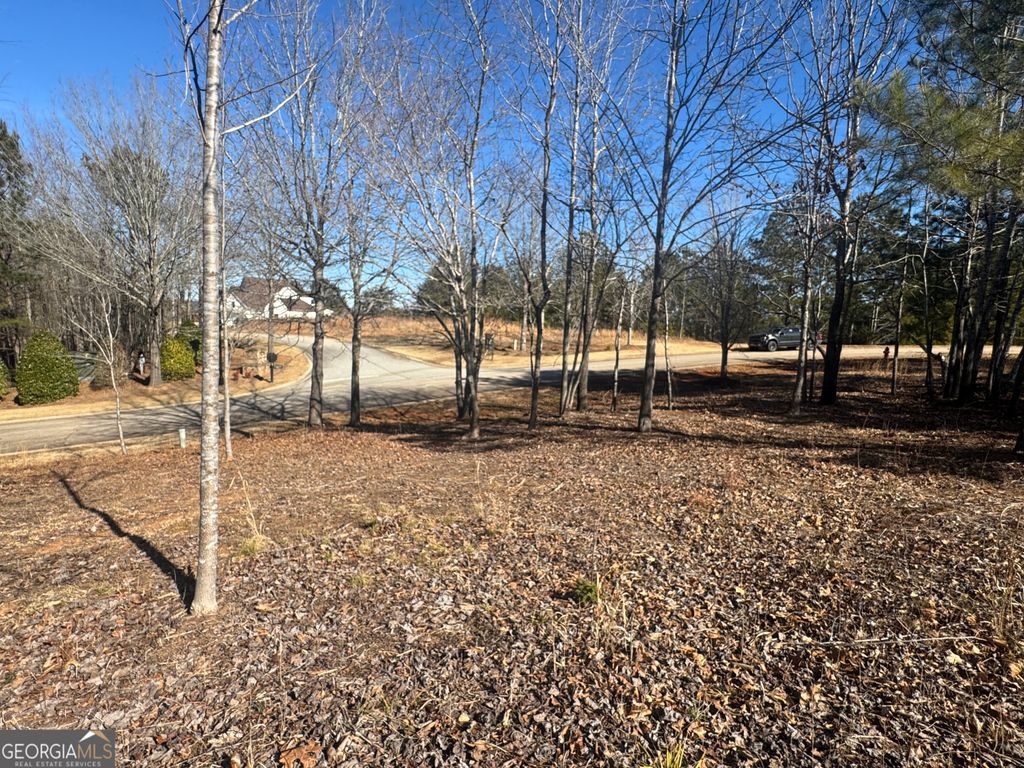 1541 Currahee Club Drive, Toccoa, GA 30577 — photo 3