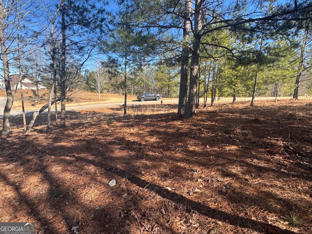 1541 Currahee Club Drive, Toccoa, GA 30577 — photo 4