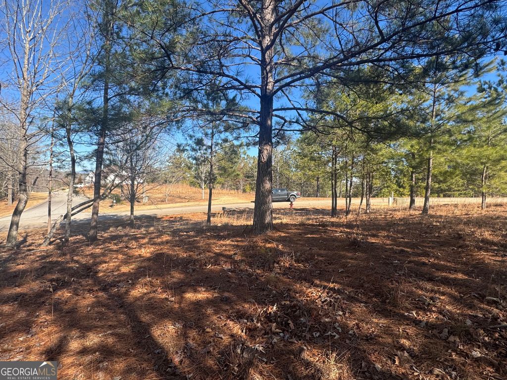 1541 Currahee Club Drive, Toccoa, GA 30577 — photo 5