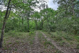 TBD (43.65 Acres) County Road 126, Caldwell, TX 77836