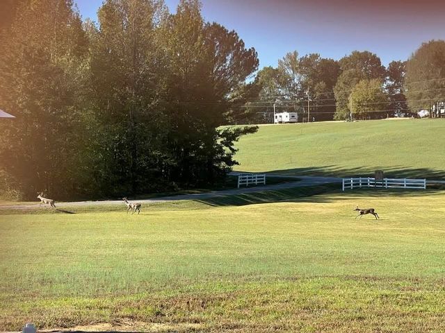 99 Pintail Lane, Clifton, TN 38425