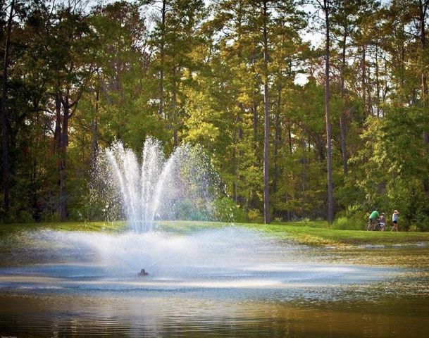 535 Oakview Bend Drive, Montgomery, TX 77316