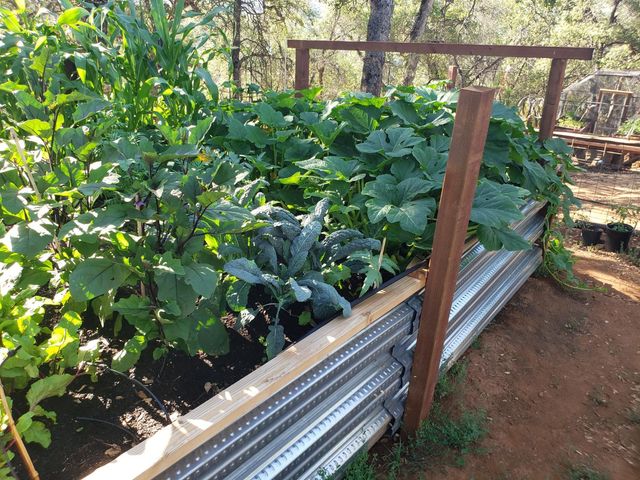 1700 Shadydale Ln, Placerville, CA 95667