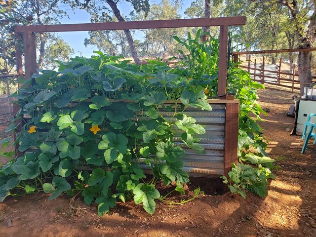 1700 Shadydale Ln, Placerville, CA 95667