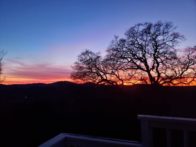 1700 Shadydale Ln, Placerville, CA 95667