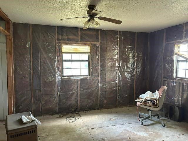 250 Oak Hill Road, Whitewright, TX 75491