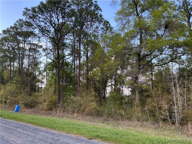 8749 N Upland Drive, Citrus Springs, FL 34434