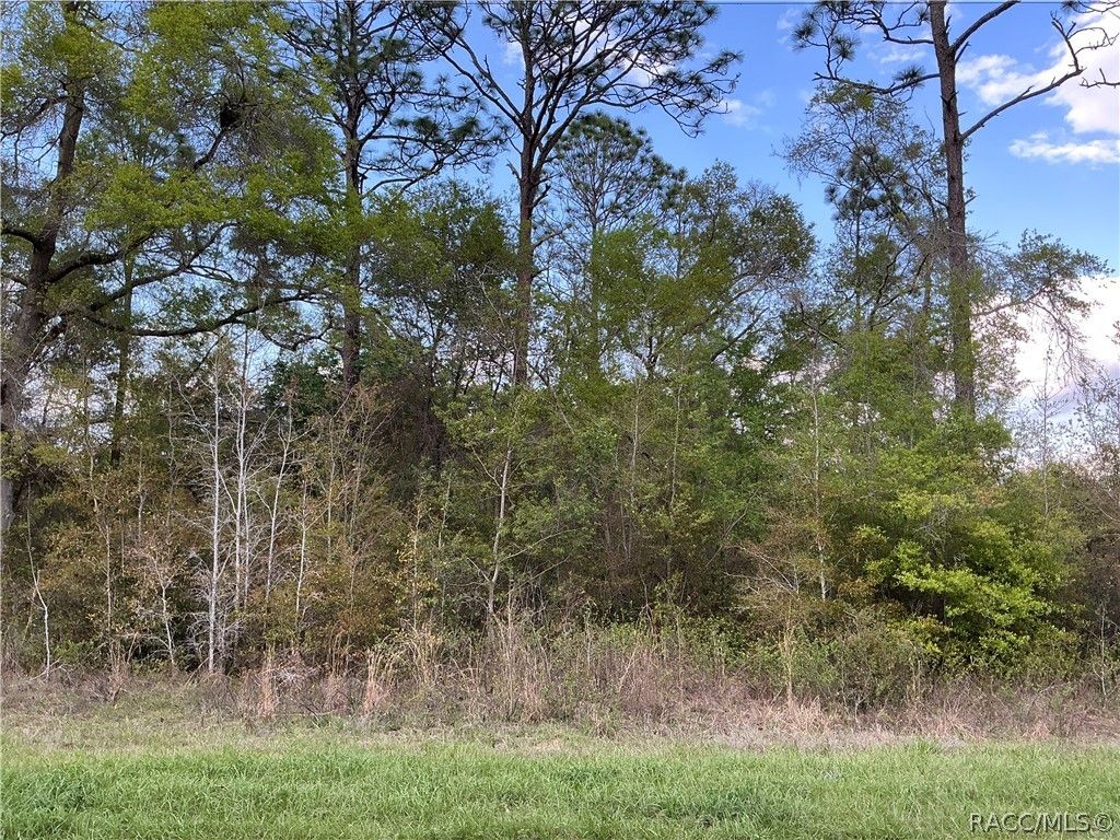 8749 N Upland Drive, Citrus Springs, FL 34434