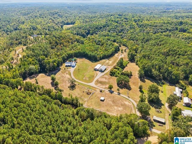 44 BUCKEYE TRAIL, Columbiana, AL 35051